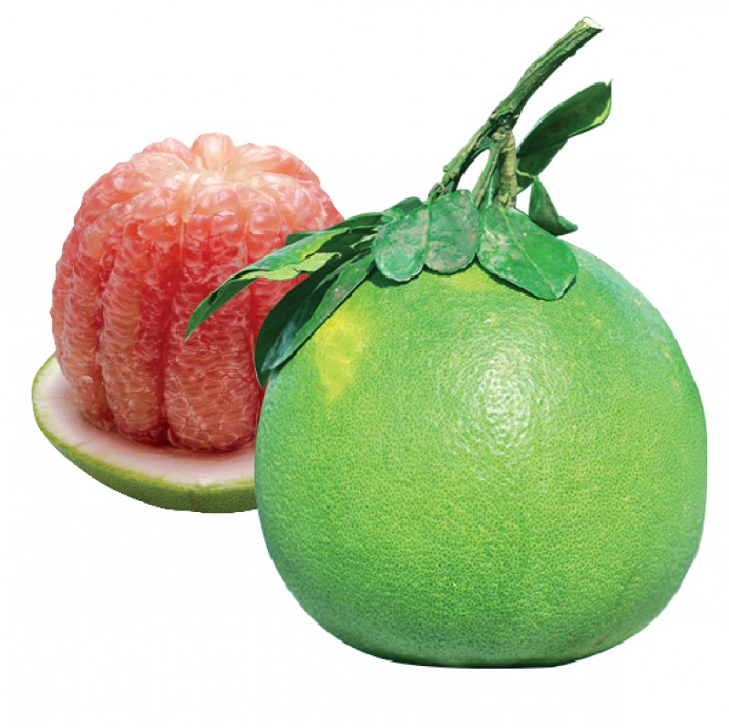 product name